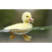 Angela Davison's photo