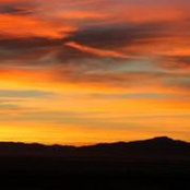 Nedra Kennedy's photo