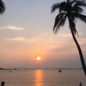 Maha Malkawi's photo