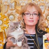Foto de Ирина Политова
