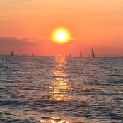 Kathy Caffrey's photo