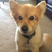 Davetta Green's photo