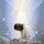 amy_fore