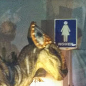 Leigh Merriman's photo