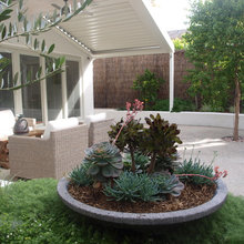 Landscape Ideas