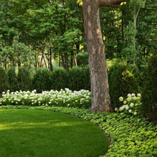 landscape ideas for a wooded backyard