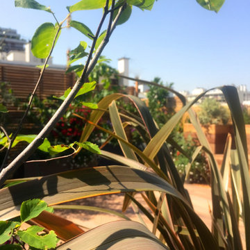 Aménagement paysager d'un rooftop à Paris