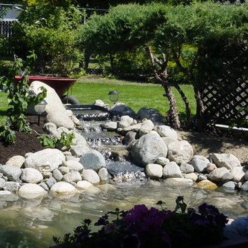 Water Features & Ponds
