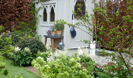 How to Create a Lush Garden in the Shade