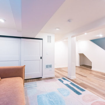 Luxury Basement Finishing Chicgo I $150K Moder Transformation