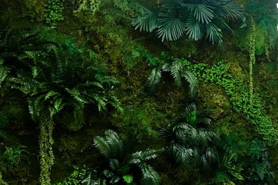 Design ideas for a modern landscaping in Los Angeles.