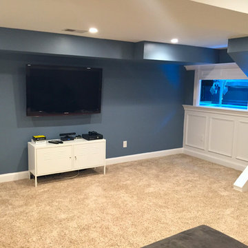 Basement renovation with Custom fish tank built in