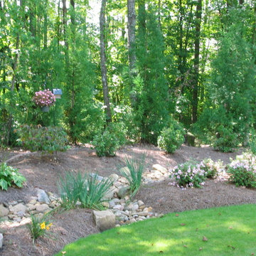 Woodland Border Dry Creek Bed
