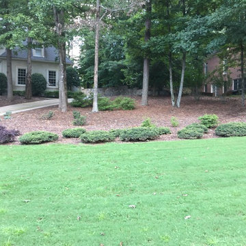 Landscape Design & Installation