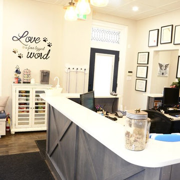 Reception After New Reception Desk