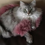 Angela Maas's photo
