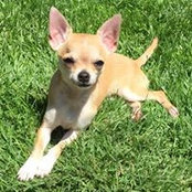 Beth Genuino's photo