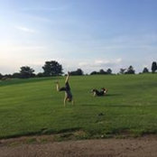Jon Hewson's photo
