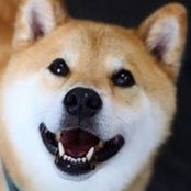 De Deemさんの写真