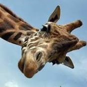 Sam Dunn's photo