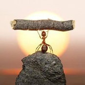 Audrey Filipek's photo