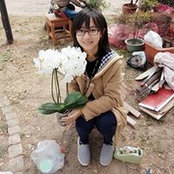 弓弦葉's photo