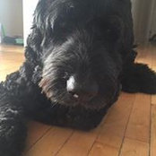 Marjory Wall's photo