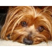 Dana Klages's photo