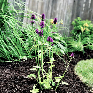 Pollinator Gardens