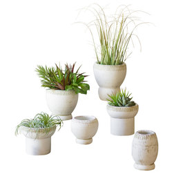 Farmhouse Indoor Pots And Planters by Kalalou, Inc.