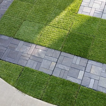 Backyard Remodeling