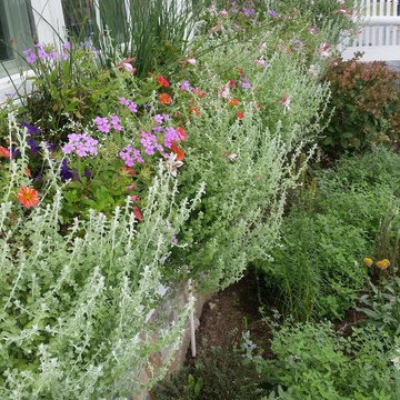 Planters & WIndow Boxes