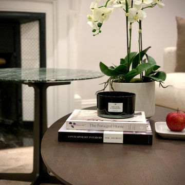 Residential apartment design- London, SE19