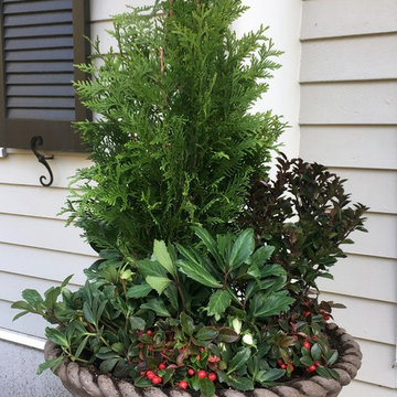 Containers with Height for High Impact