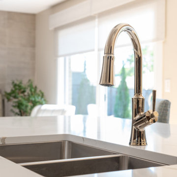 Palatine Mini Renovation