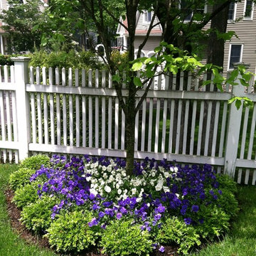 English Boxwood design