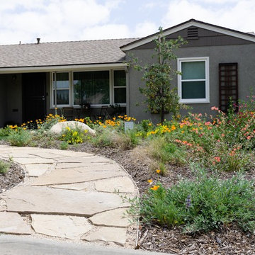 Front Yard Makeover