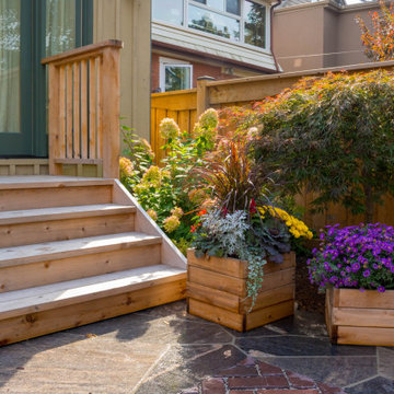 Sunnyside Backyard