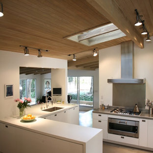 75 Beautiful Mid Century Modern Kitchen With Stainless Steel