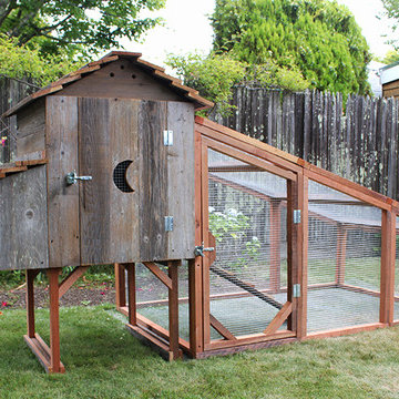 Awesome Chicken Coops