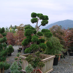 Frost Nursery 009.JPG - Plants