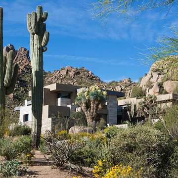 Pinnacle Peak Modern | Front Yard