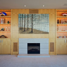 TV Built-Ins