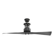 50 Most Popular 2 Blade Ceiling Fans For 2020 Houzz