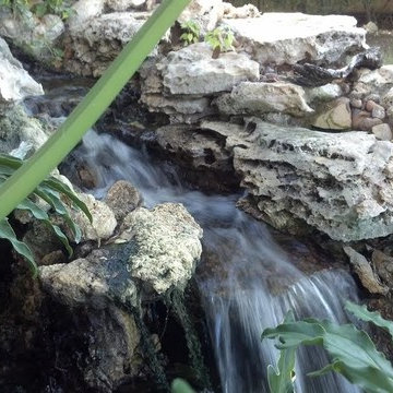 Water Features