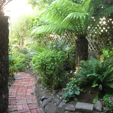 Secluded exotic garden