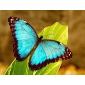 Connie Laaker's photo