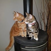 Amanda Sharpe's photo