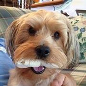 Vicki Lemmond's photo