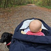 Foto von Annegret Stöcker